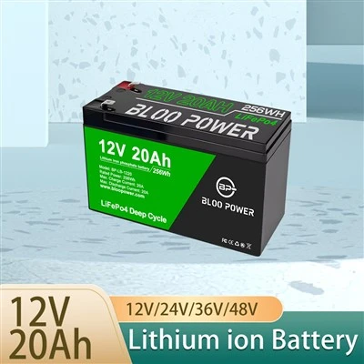 Batteria per bicicletta LFP Cell Batteria agli ioni di litio Ebike per viaggio su strada